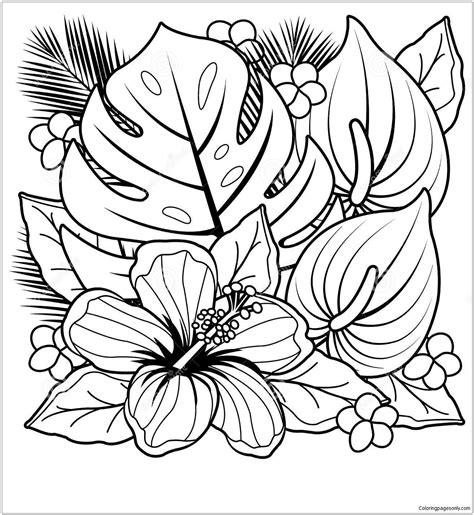 tropical flowers of the world coloring book Epub